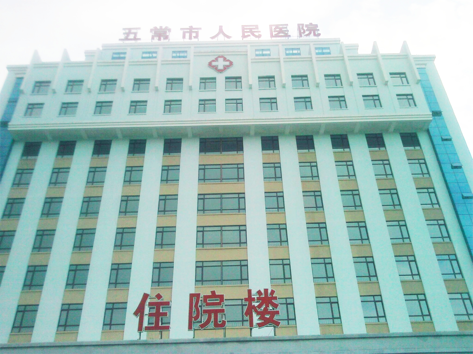 Case in Northeast China: Wuchang People’s Hospital, Harbin City, Heilongjiang