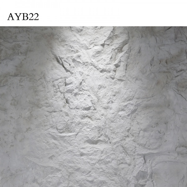 AYB22