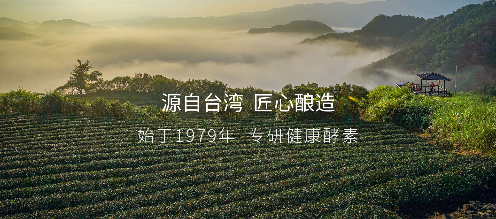 图片展示