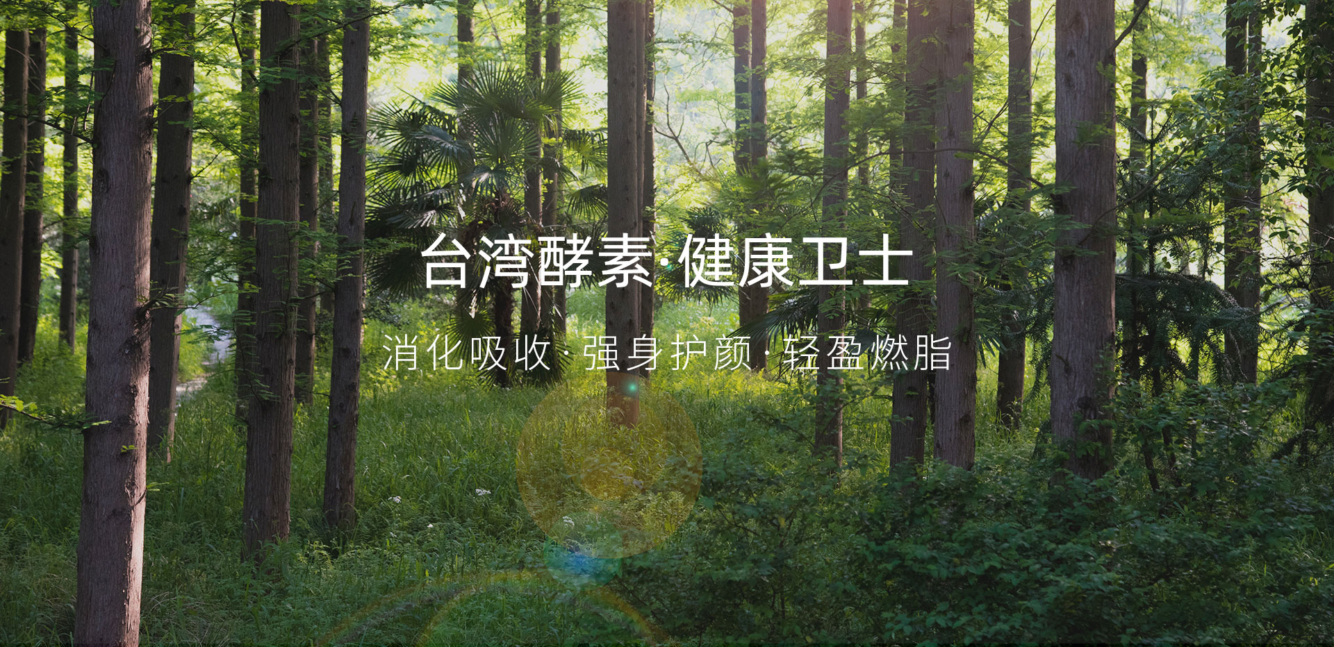 图片展示