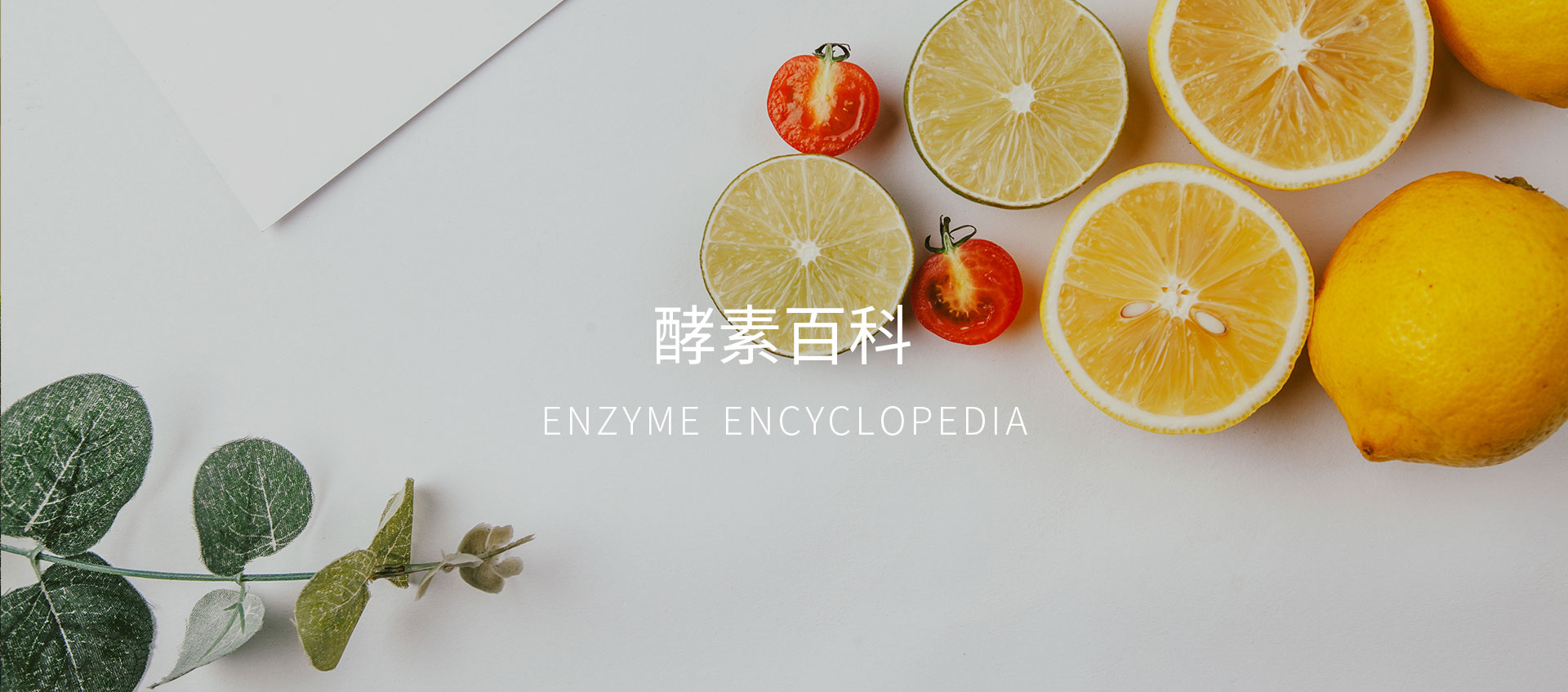 图片展示
