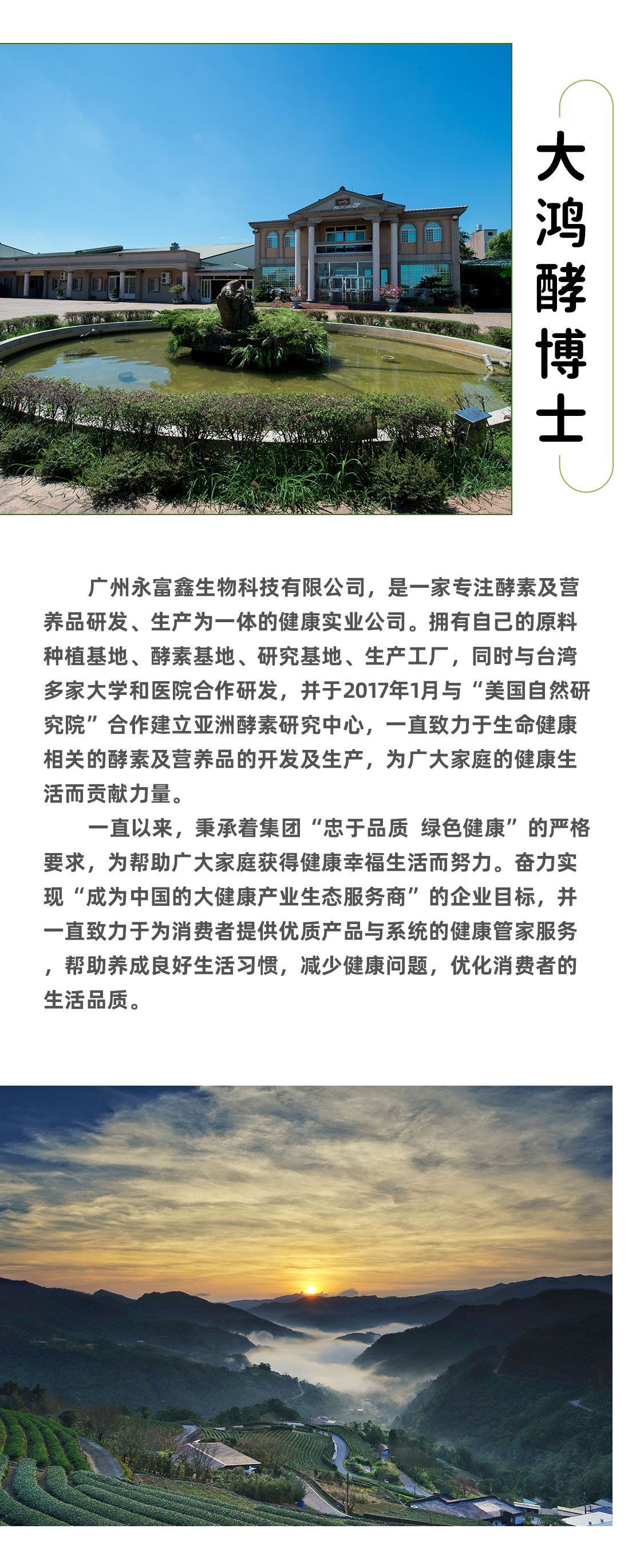 图片展示