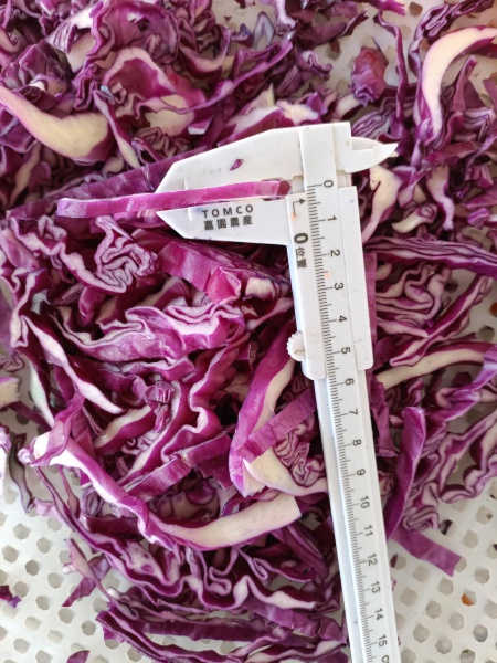 Purple & Green Cabbage 