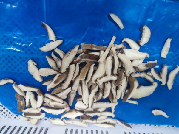 Mushroom (Shiitake)