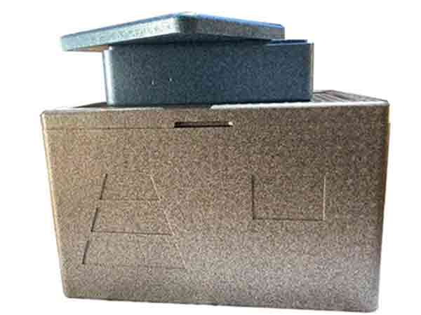 EPP BOX For deliver food