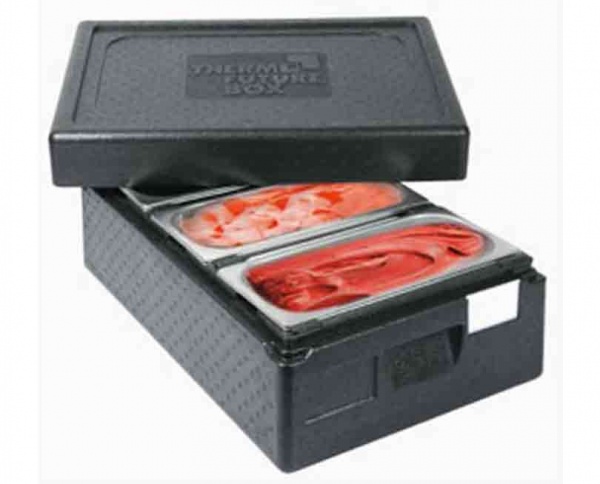 Thermo Future Box Epp Insulated Box Ext Dim:L60xW40xH27cm,3X8L, Ice-Box +3