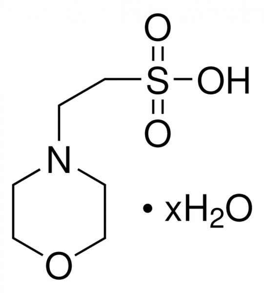 4-吗啉乙磺酸 水合物