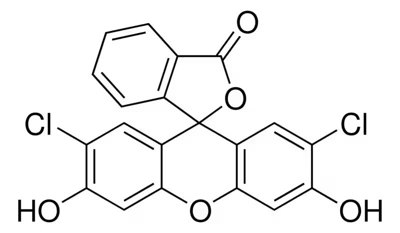 2',7'-二氯荧光素