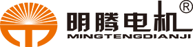 MT MOTOR