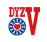 DYZV bearings