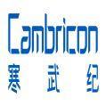 CAMBRICON chips