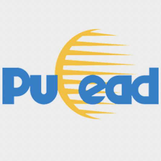 PULEAD lithium battery