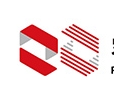 RAYVISION microdisplays
