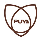 PUYA Flash chips