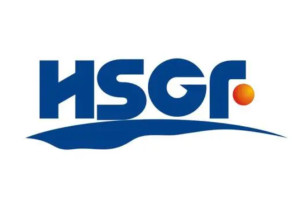 HSGF inverter