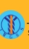 JUNWEI