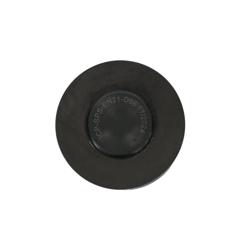 ICP-SPS-EN21-D66  172024