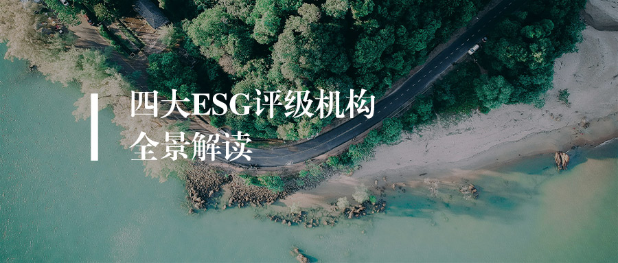 四大ESG评级机构全景解读：MSCI、EcoVadis、CDP、Sustainalytics