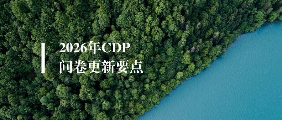 干货丨2026年CDP问卷更新要点，这些核心调整企业必看（附完整文件下载）