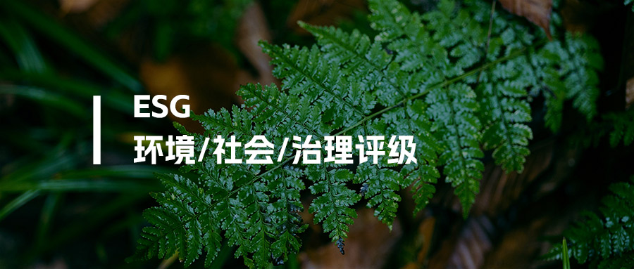 ESG报告评级详解：企业可持续发展的“硬核名片”