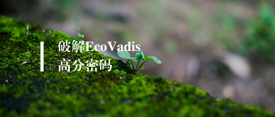 破解EcoVadis“高分密码”：为什么你材料齐备，却总拿不到高分？
