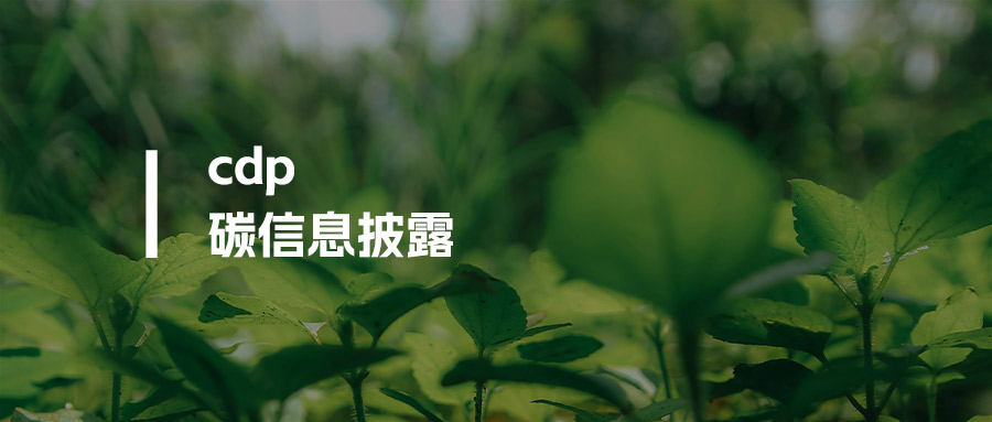 CDP是什么意思？企业碳披露项目全方位解读（2026版）