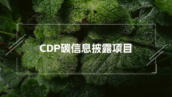 CDP（碳信息披露项目）问卷填报指导服务