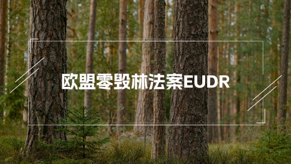 欧盟零毁林法案（EUDR）