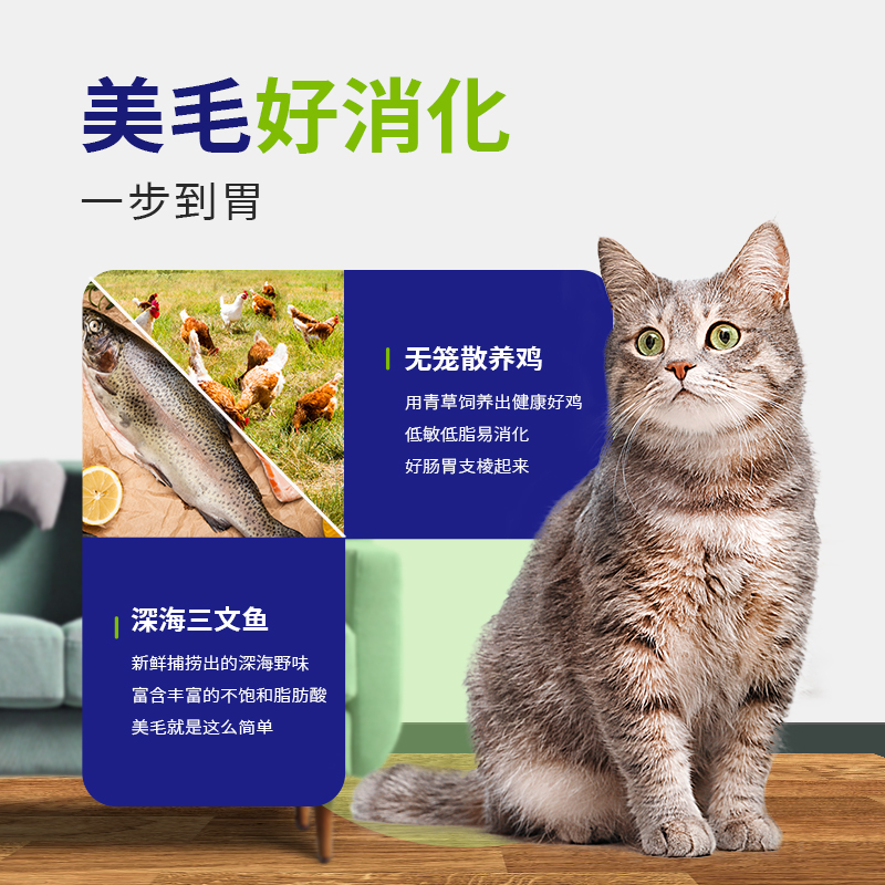 鸡肉&三文鱼