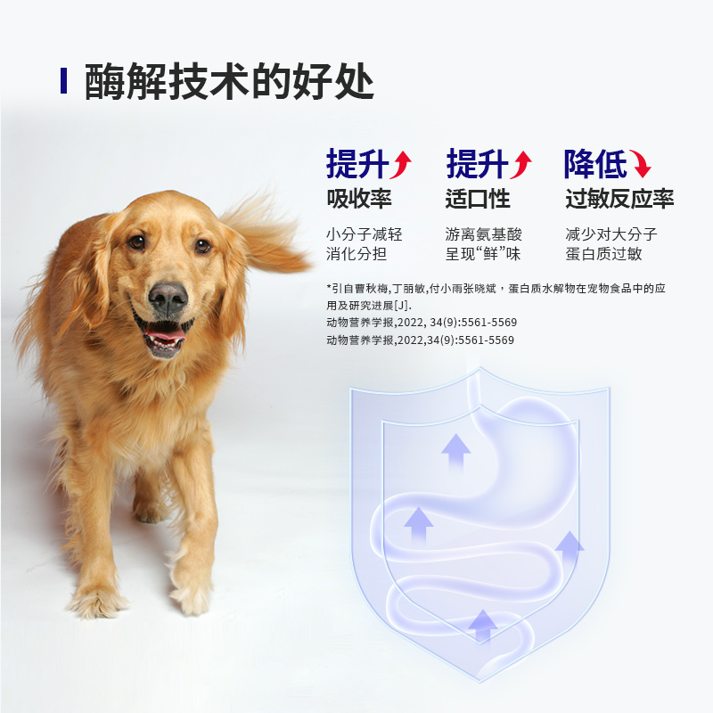 成年期犬粮