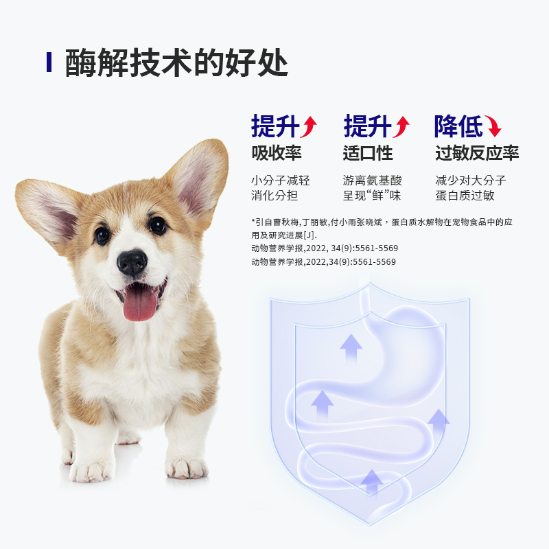 幼年期犬粮