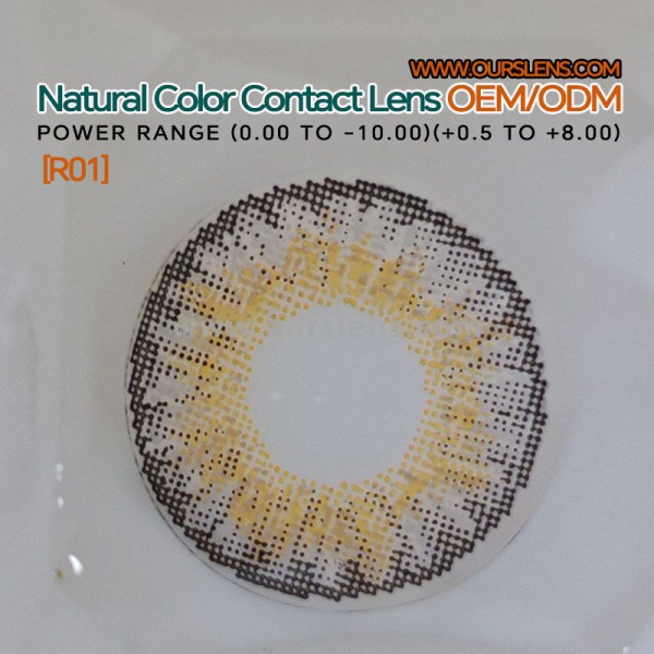 Hot Selling Natural Soft HEMA Contact Lenses Comfortable  Wear with Multi-Luminosity Colors Wholesale