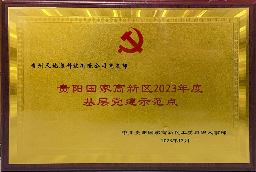 贵州天地通科技有限公司党支部_00