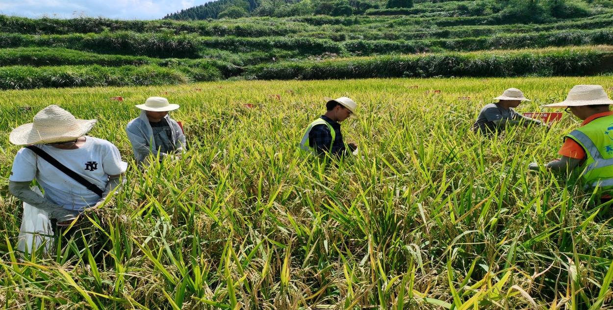 农业解决方案