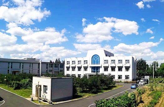 图片展示