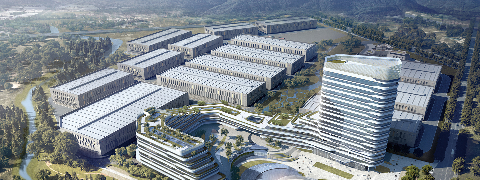 图片展示