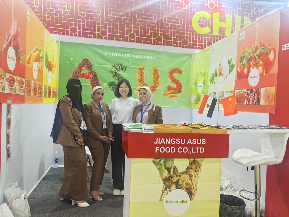 2024年5月非洲食品添加剂展-2024 FI  AFRICA