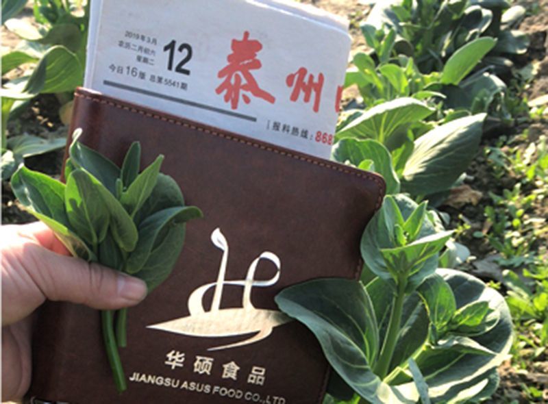蔬菜种植基地