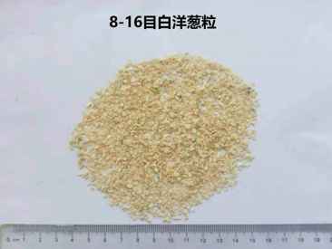 8-16洋葱