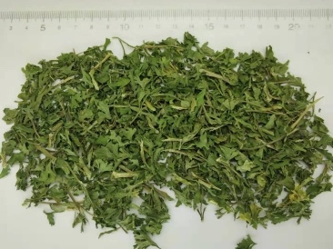 欧芹