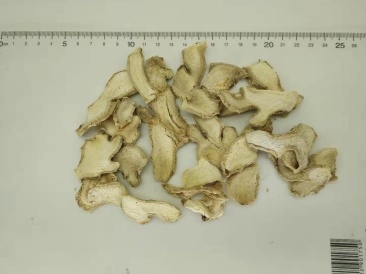 生姜片