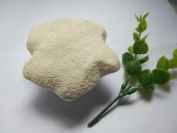 白花菜粉