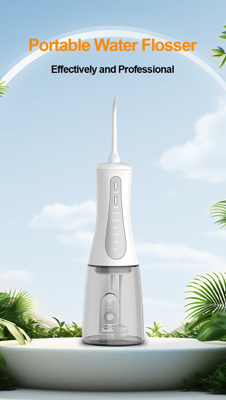 Water Flosser （AOW03S）