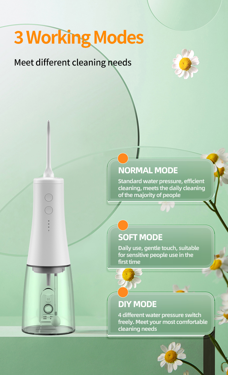 Water Flosser （AOW06）