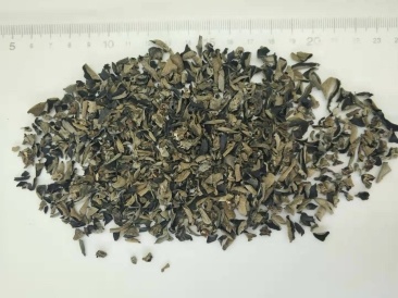 Black fungus grains