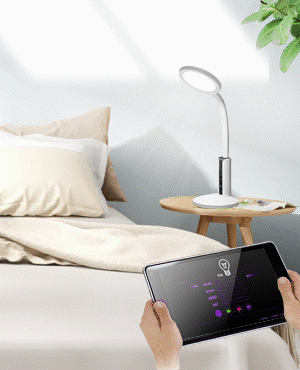 smart home
