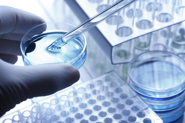 Willford Brazil Announces Breakthrough in Pharmaceutical Cleanroom Project