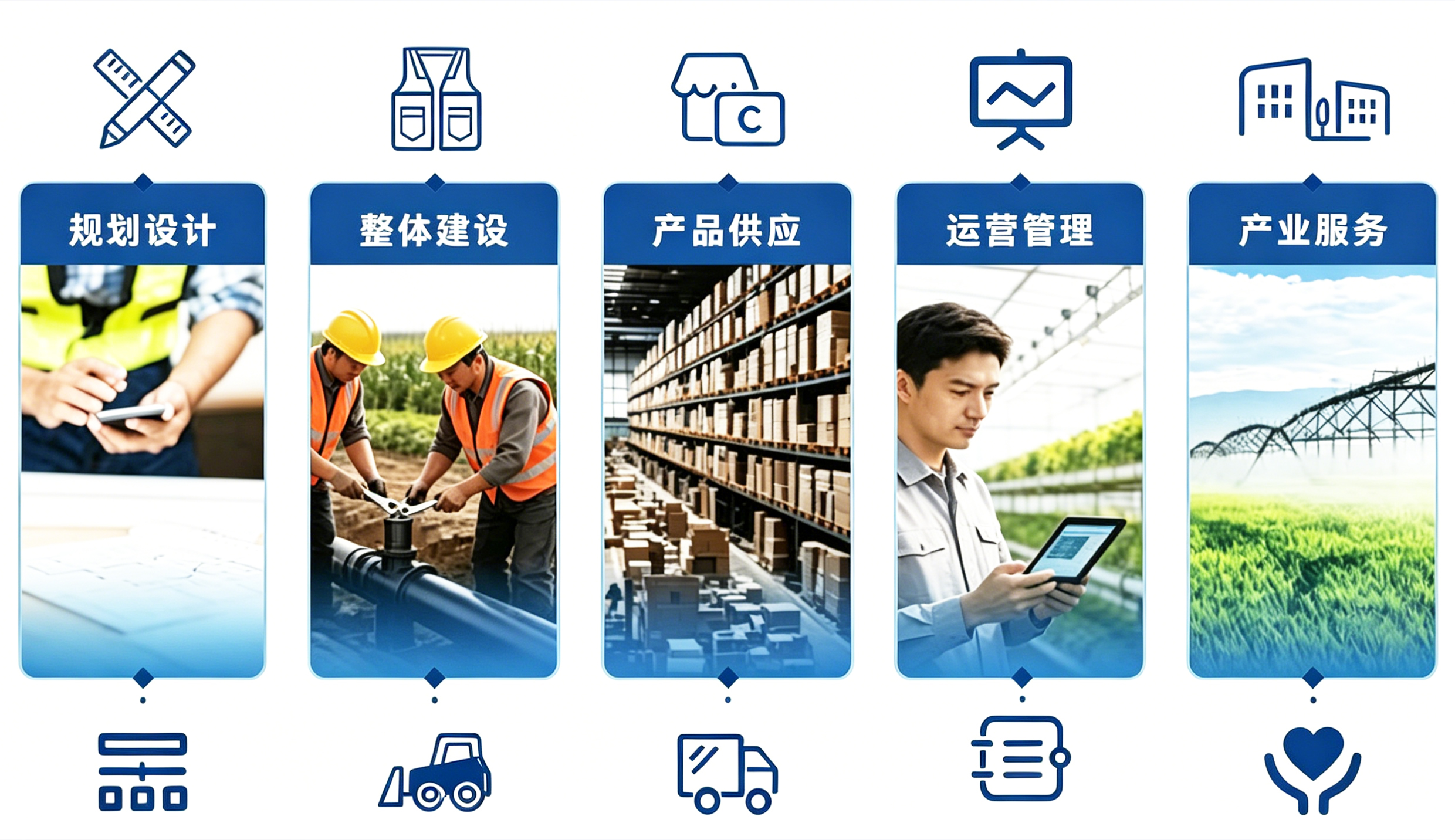 图片展示