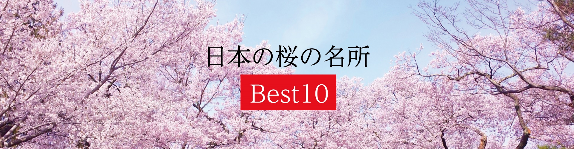 日本赏樱名景Best10