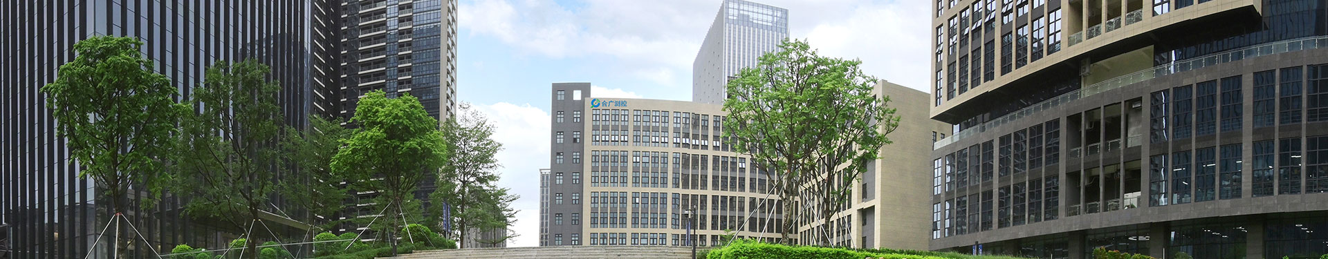 图片展示